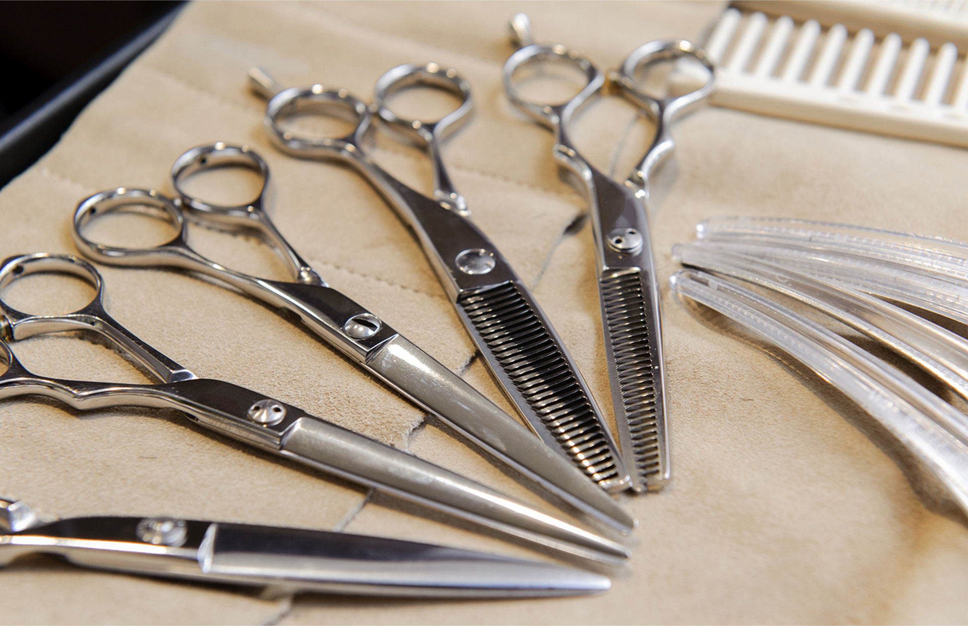 代表プロフィール